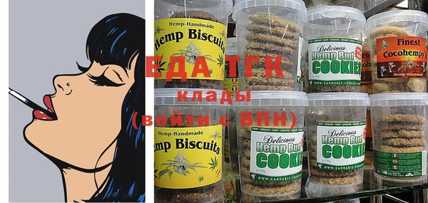 МДПВ Дмитриев